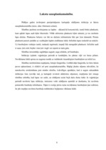 Konspekts 'Kartupeļu slimības', 8.