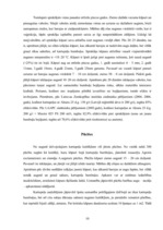 Konspekts 'Kartupeļu slimības', 10.