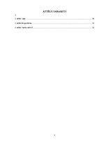 Biznesa plāns 'Biznesa plāns interneta kafejnīcai', 3.