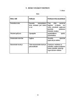 Biznesa plāns 'Biznesa plāns interneta kafejnīcai', 24.