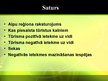 Prezentācija 'Tūrisma ietekme uz vidi Alpu reģionā', 2.