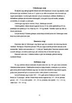 Referāts 'Zirgi, to šķirnes', 16.