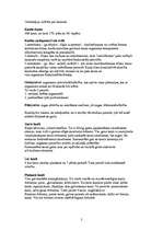 Konspekts 'Skelets', 2.