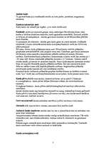 Konspekts 'Skelets', 3.