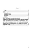 Referāts 'Rainis', 1.