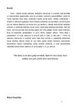 Referāts 'Rainis', 3.