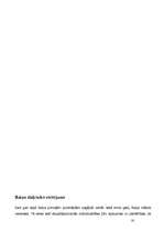 Referāts 'Rainis', 16.