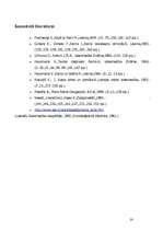 Referāts 'Rainis', 20.