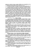 Referāts 'Latvijas un Kirgizstānas kultūru salīdzinājums', 4.