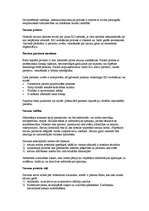 Referāts 'Sarunas par starptautisku kopuzņēmumu veidošanu', 4.