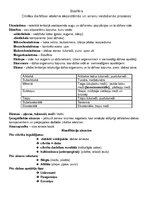 Konspekts 'Biosfēra, ekosistēmas', 1.