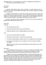 Konspekts 'Inflantija', 2.