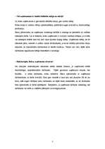 Referāts 'Tirdzniecības uzņēmuma darbības analīze', 2.