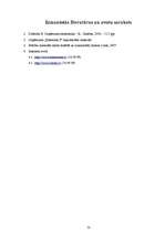 Prakses atskaite 'Prakses atskaite SIA "Elektrons S"', 13.