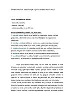 Referāts 'Retorika un tās vēsturiskā attīstība', 5.