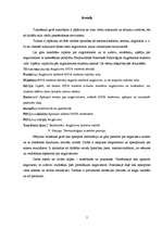 Referāts 'Anglicismi', 1.