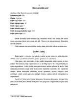 Referāts 'Aizsargājamās dabas teritorijas Latvijā', 10.