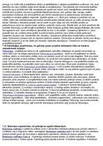 Konspekts 'Kā pareizi sākt savu biznesu, kā pareizi organizēt uzņēmējdarbību', 4.