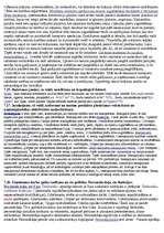 Konspekts 'Kā pareizi sākt savu biznesu, kā pareizi organizēt uzņēmējdarbību', 7.