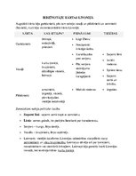 Konspekts 'Latvijas vēstures apkopojums', 9.