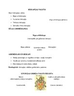 Konspekts 'Latvijas vēstures apkopojums', 10.