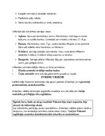 Konspekts 'Latvijas vēstures apkopojums', 20.