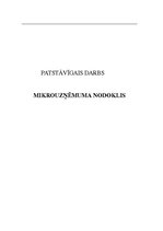 Konspekts 'Mikrouzņēmuma nodoklis', 1.