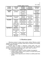 Referāts 'Projektu vadīšana, "Manas istabas remonts"', 10.