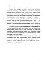 Referāts 'Interneta veikali Latvijā', 2.