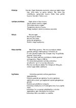 Prakses atskaite 'Kvalifikācijas prakses dienasgrāmata', 2.