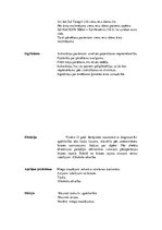 Prakses atskaite 'Kvalifikācijas prakses dienasgrāmata', 15.