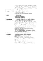 Prakses atskaite 'Kvalifikācijas prakses dienasgrāmata', 22.