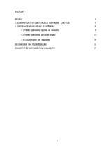 Referāts 'Administratīvi teritoriālā reforma Latvijā un publiskās pārvaldes reformas aktua', 2.