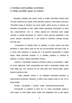 Referāts 'Administratīvi teritoriālā reforma Latvijā un publiskās pārvaldes reformas aktua', 9.