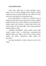 Referāts 'Vulkāni un zemestrīces', 8.