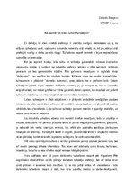 Eseja 'Ko nozīmē būt labam tulkam/tulkotājam?', 1.