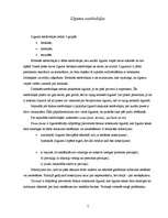 Referāts 'Līgums, līgumu veidi', 7.