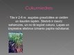 Prezentācija 'Pārtikā izmantojamie Dienvidamerikas augi', 10.