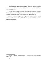 Referāts 'Kreditoru parādi', 17.