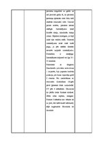 Prakses atskaite 'Prakses dienasgrāmata - ķirurģija', 16.