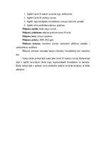 Referāts 'Darba tirgus un ienākumu analīze covid-19 apstākļos', 5.