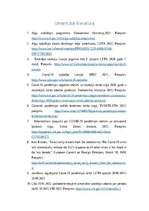 Referāts 'Darba tirgus un ienākumu analīze covid-19 apstākļos', 19.