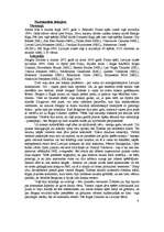 Referāts 'Latvijas hokeja izlase', 4.