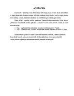 Referāts 'Fotosalona ekonomiskās darbības plānošana un analīze', 2.