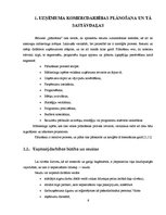 Referāts 'Fotosalona ekonomiskās darbības plānošana un analīze', 6.