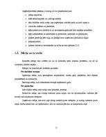 Referāts 'Fotosalona ekonomiskās darbības plānošana un analīze', 11.