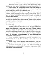 Referāts 'Fotosalona ekonomiskās darbības plānošana un analīze', 17.