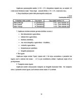 Referāts 'Fotosalona ekonomiskās darbības plānošana un analīze', 24.