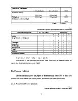 Referāts 'Fotosalona ekonomiskās darbības plānošana un analīze', 31.