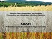 Prezentācija 'Auzas', 1.